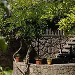 Luxury Modern Villa With Private Pool - Bom Jesus Villa