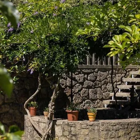 Casabraga.207 - With Pool Bom Jesus فيلة