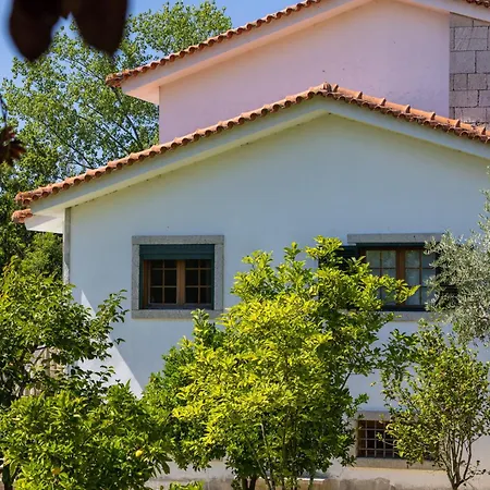 Villa Luxury Classic With Private Pool - Bom Jesus