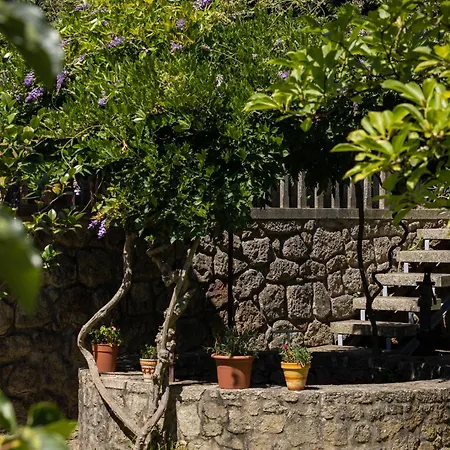 Luxury Classic With Private Pool - Bom Jesus *